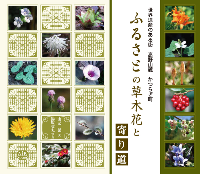 ふるさとの草木花と寄り道