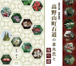 高野山町石道の草木花と寄り道
